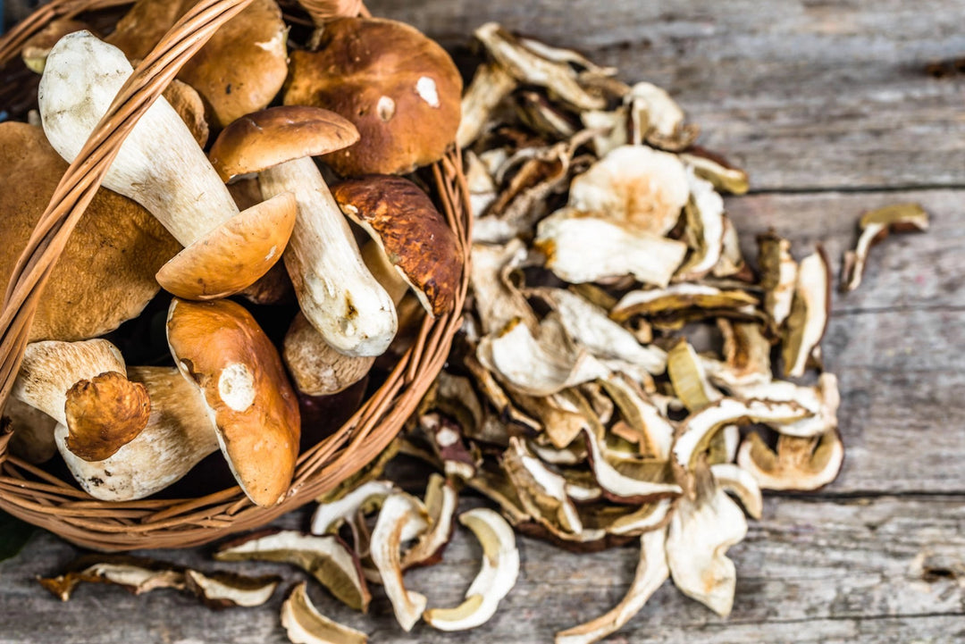 Funghi