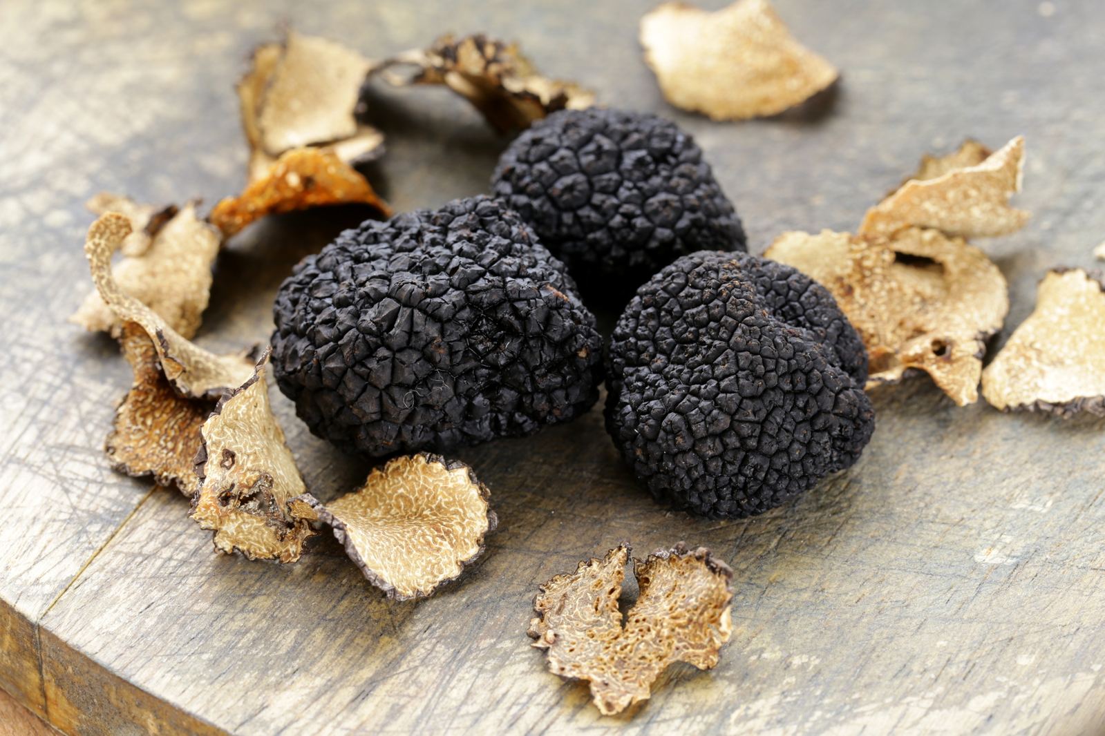 Tartufi