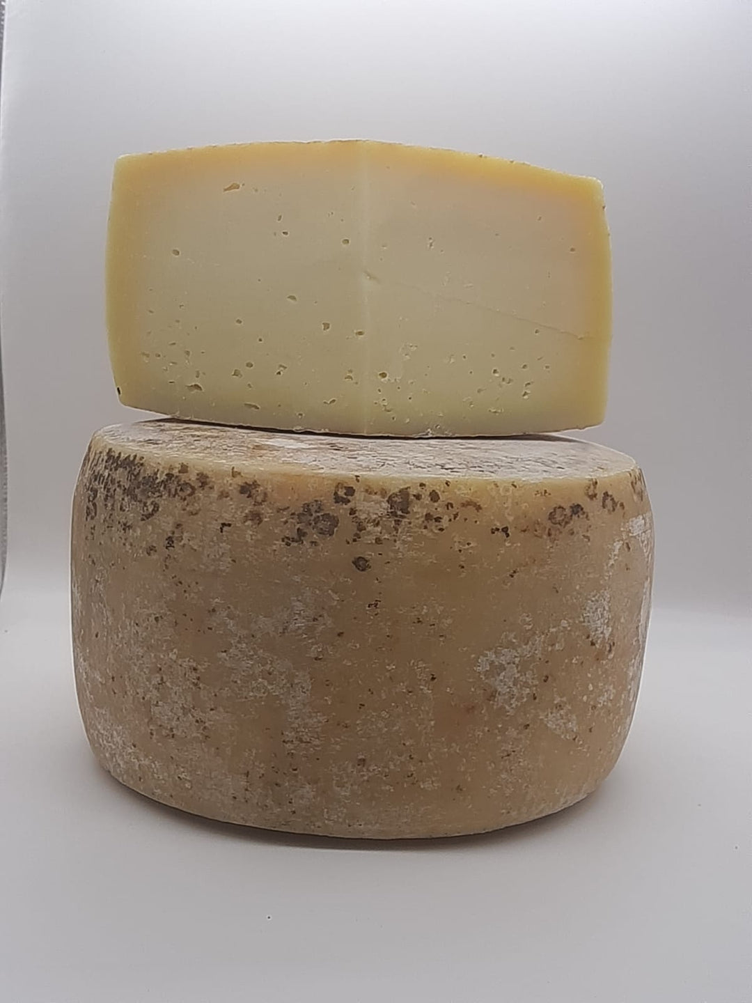 Pecorino Montanaro Top