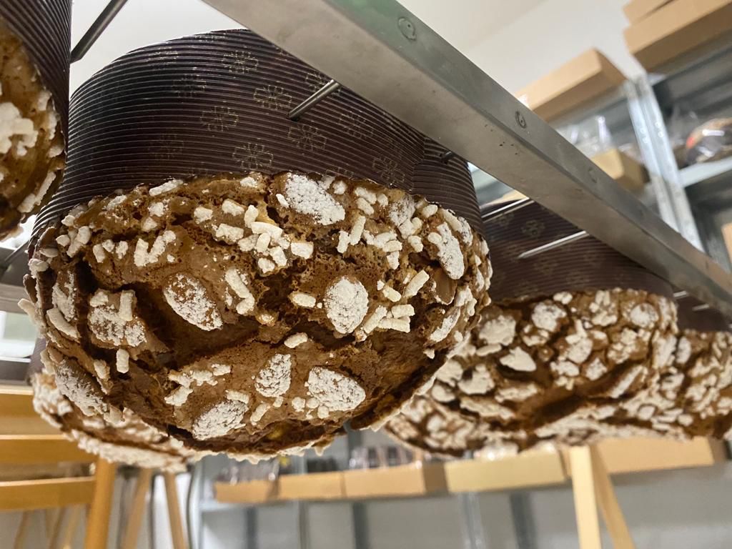 Panettone Artigianale al Cioccolato