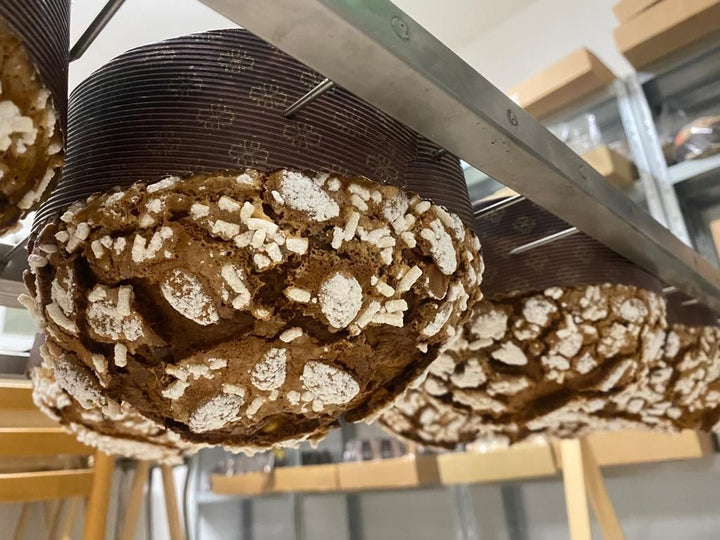 Panettone Artigianale al Cioccolato